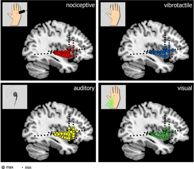 Image: G. Liberati et al.